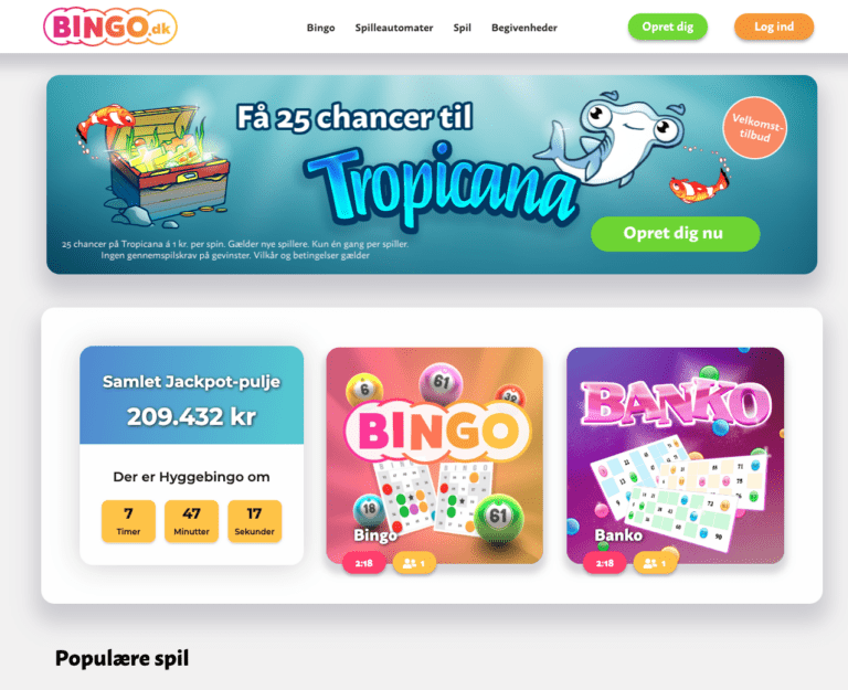 Bingo.dk hjemmeside